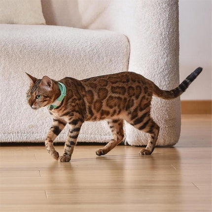 Automatic Laser Cat Collar Toy: Rechargeable Interactive Red Light Toy for Australian Indoor Cats & Kittens.