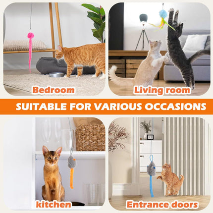 Pet Care.