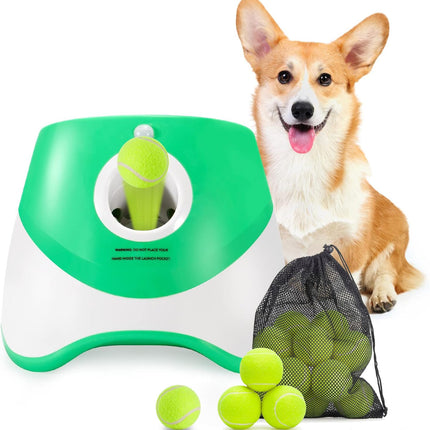 Pet Care.