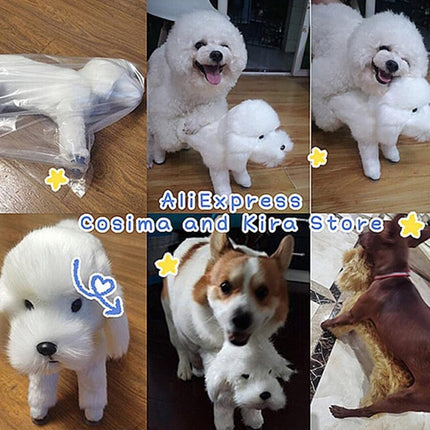 Pet Behavioral Support Doll – Realistic Canine Companion Toy for Stress Relief, Made of TPE Silicone & Soft Fur, Stable Suction Base, 1:1 Anatomical Design, for Small to Medium Dogs (White, Channel Height 13cm).
