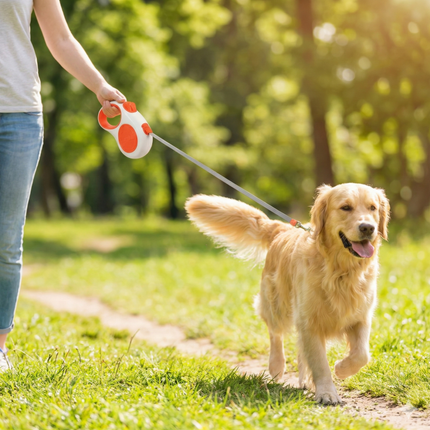 Pet Care Cartoz.