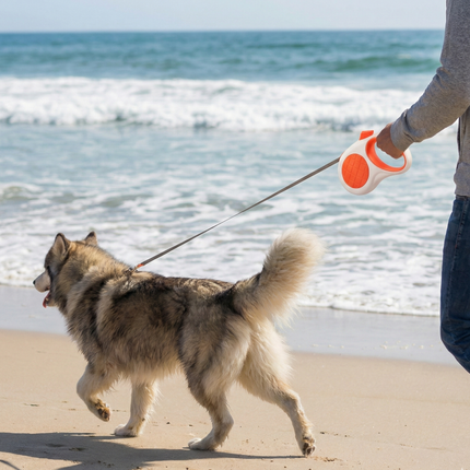 Pet Care Cartoz.