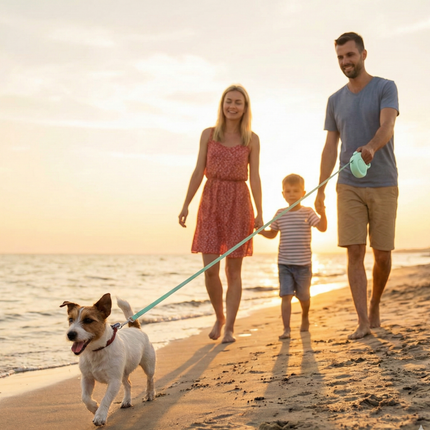 Retractable Dog Leash – 16.5 ft Automatic Walking Lead with One-Hand Brake Lock & Anti-Tangle Nylon Tape – Heavy-Duty 55 lb Capacity – Ideal for Small to Medium Dogs (Green).