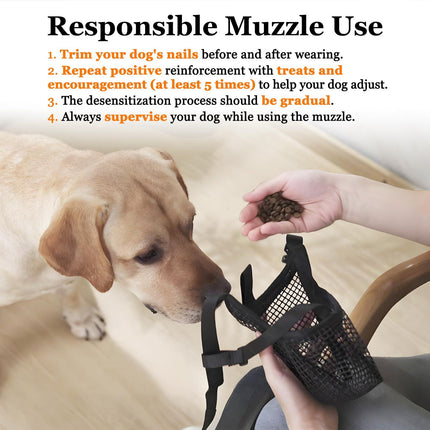 Pet Care Cartoz.