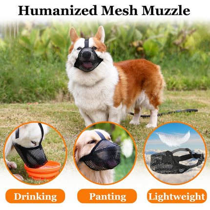 Pet Care Cartoz.