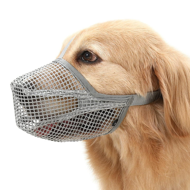 Pet Care.