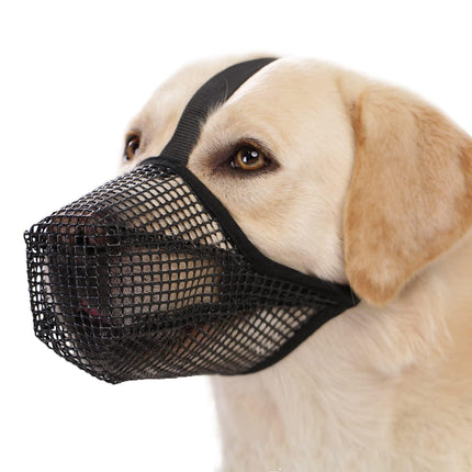 Pet Care Cartoz.