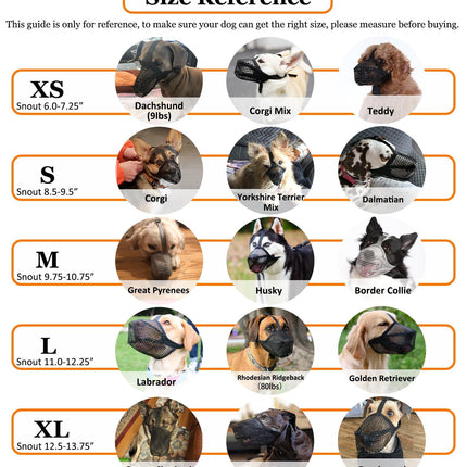 Pet Care Cartoz.
