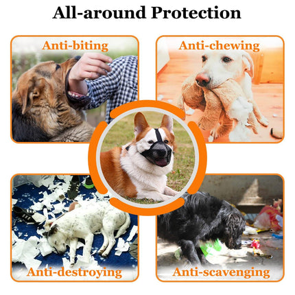 Pet Care Cartoz.