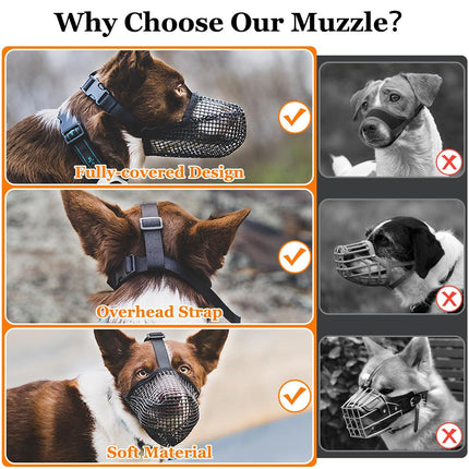 Pet Care Cartoz.