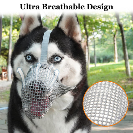 Pet Care Cartoz.