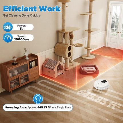 Appliances > Other Cleaning Appliances > Steam cleaners.