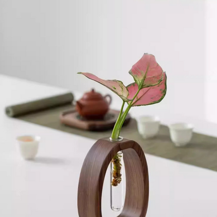 Home & Garden Cartoz.