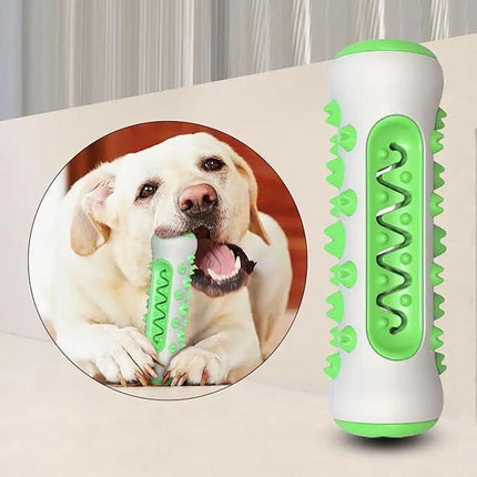 Dog Chew Toy: Durable Nylon & TPR, Teeth Cleaning Bone for Aussie Dogs.