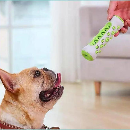 Dog Chew Toy: Durable Nylon & TPR, Teeth Cleaning Bone for Aussie Dogs.