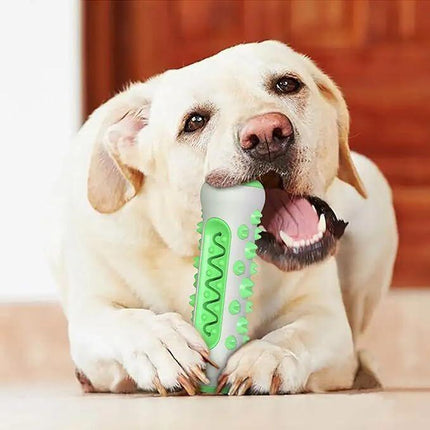 Dog Chew Toy: Durable Nylon & TPR, Teeth Cleaning Bone for Aussie Dogs.