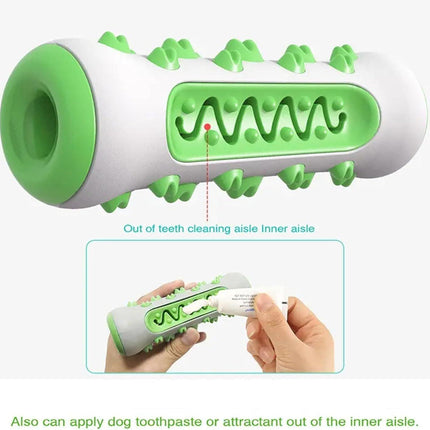 Dog Chew Toy: Durable Nylon & TPR, Teeth Cleaning Bone for Aussie Dogs.