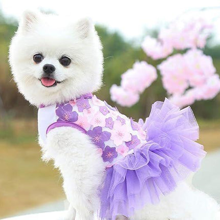 Pet Care.
