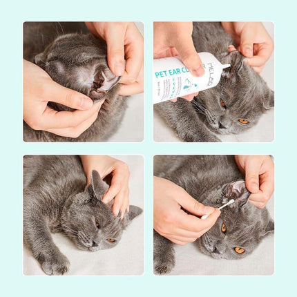 Pet Care.