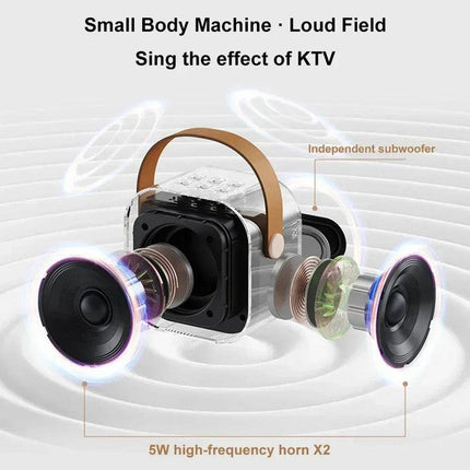 NNEOBA K12 Bluetooth Karaoke Machine.