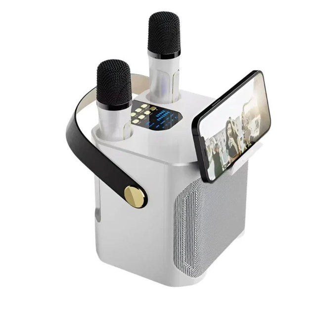 High Power Karaoke Bluetooth Speaker With Dual Microphone.
