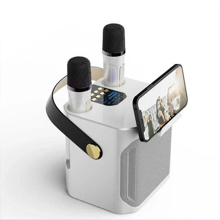 High Power Karaoke Bluetooth Speaker With Dual Microphone.