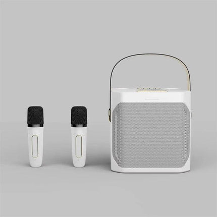 High Power Karaoke Bluetooth Speaker With Dual Microphone.