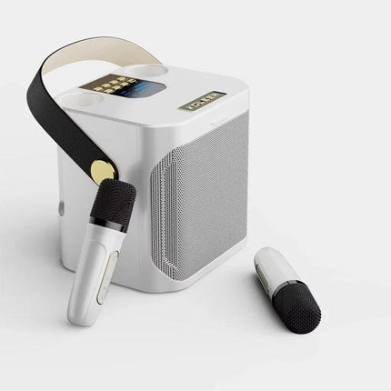 High Power Karaoke Bluetooth Speaker With Dual Microphone.