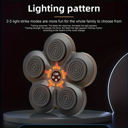 Boxing Training Kit With Reactive Led Wall Punching Target.