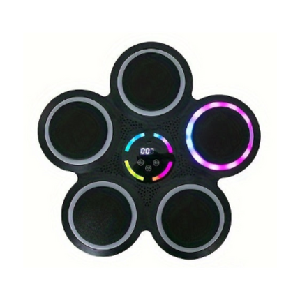 9-Speed Smart Boxing Machine with Wireless Music.
