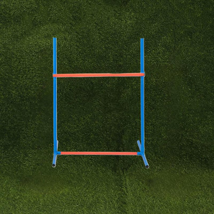 Dog Agility Training Set for Pets.