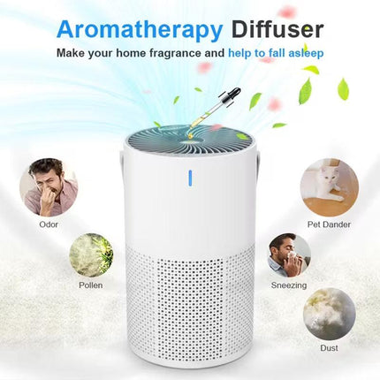 Portable HEPA Air Purifier (3-in-1).