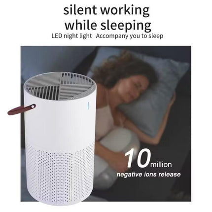 Portable HEPA Air Purifier (3-in-1).