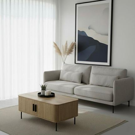 Furniture Cartoz.