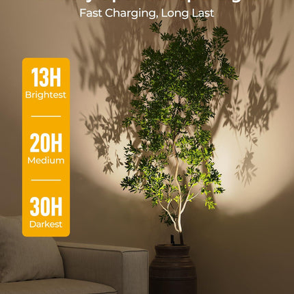Spotlights Indoor, No-Glare Rechargeable Floor Can Light for Plants with Remote, Wireless Art Accent Spot Lights Uplight for Painting, Picture, Dartboard, Home, Corner Sofa Display.