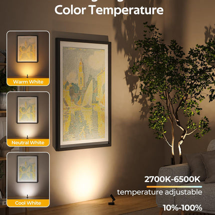 Spotlights Indoor, No-Glare Rechargeable Floor Can Light for Plants with Remote, Wireless Art Accent Spot Lights Uplight for Painting, Picture, Dartboard, Home, Corner Sofa Display.