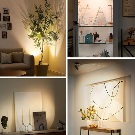 Spotlights Indoor, No-Glare Rechargeable Floor Can Light for Plants with Remote, Wireless Art Accent Spot Lights Uplight for Painting, Picture, Dartboard, Home, Corner Sofa Display.