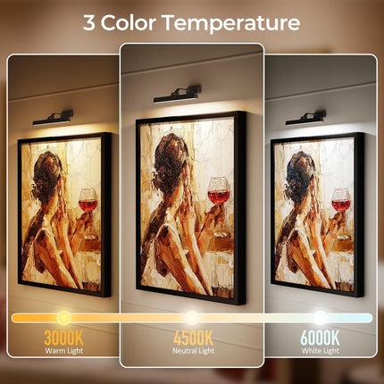 Picture Lights for Wall, Battery Operated Picture Light 16in Gallery Light for Paintings CCT Dimmable Recharging Battery Wall Light with Remote Control for Living Room Dartboard Art Black.