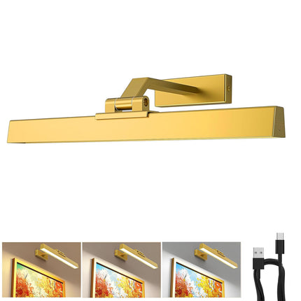 Picture Lights for Wall, Battery Operated Picture Light 16in Gallery Light for Paintings CCT Dimmable Gold.