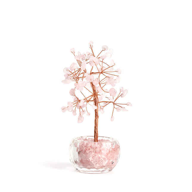 Gift & Novelty > Novelty > Jewellery Making Kits.