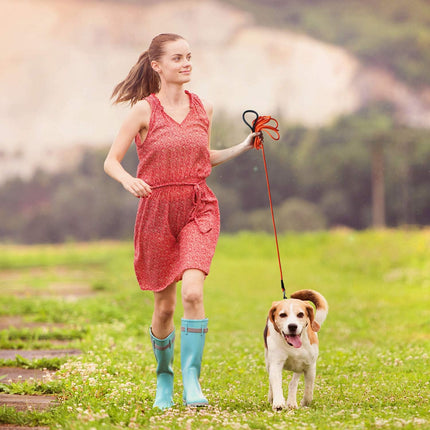 Dog Training Leash with Comfortable Handle.