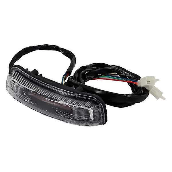 Universal LED Tail Light Turn Signal Brake Light Compatible with Citycoco Electric Scooter 60V.
