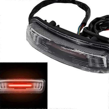 Universal LED Tail Light Turn Signal Brake Light Compatible with Citycoco Electric Scooter 60V.