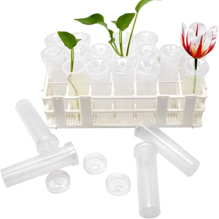 21 Pack 60ml Large Floral Tubes with Rack Holder for Milkweed Cuttings, Raising Caterpillars, Monarchs, Butterflies, Flower Arrangements.
