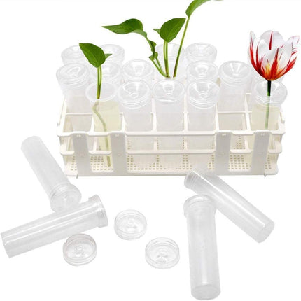 21 Pack 60ml Large Floral Tubes with Rack Holder for Milkweed Cuttings, Raising Caterpillars, Monarchs, Butterflies, Flower Arrangements.