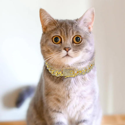 Chain Collar for Dog Diamond Cuban Link Dog Collar 13mm Wide Pet Cuban Style Collar Metal Cat Chain Pet Crystal Collar Jewelry Accessories for Small Medium Large Dogs Cats (10 Inch, Gold).