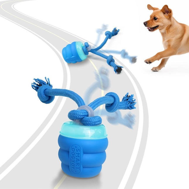 Pet Care.