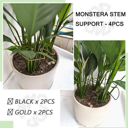 4pcs Iron Plant Stem Supports, Monstera Plant Support Outdoor Indoor Plant Accessories, 2 Colour Turtle Shell Bamboo Clamp Set for Thriving Growth (Gold+Black).