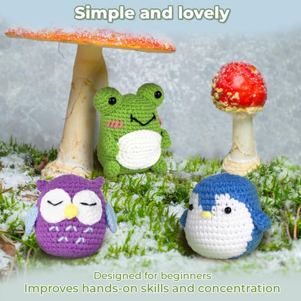 Crochet Kit for Beginners Pattern Animals Owl Penguin Frog with Yarn Hook Accessories.