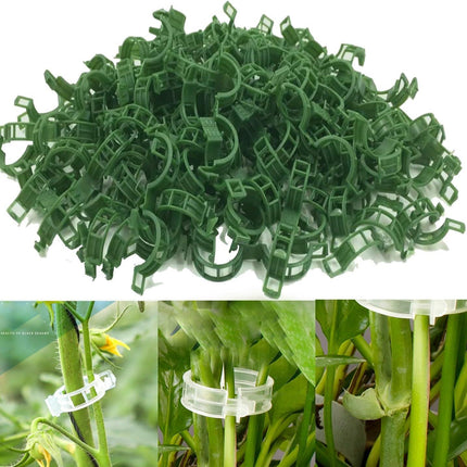 100/200/300pcs Plant Support Clips, Plant Clamps for Climbing Plants, Grafting Tools Upright Plant Growing Reusable (Green/White) Green Green 200pcs Green 200pcs.